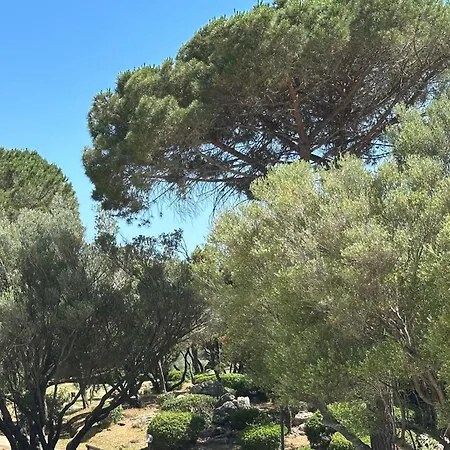 Διαμέρισμα Cugnana Vacanze